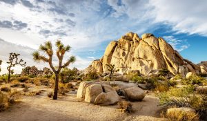 Excursiones desde Kingman