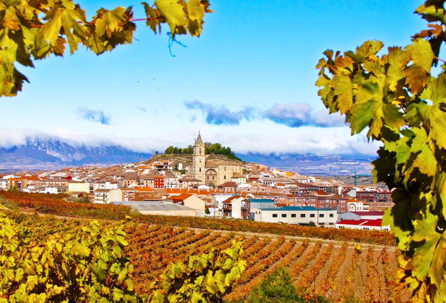 Excursiones desde Navarrete