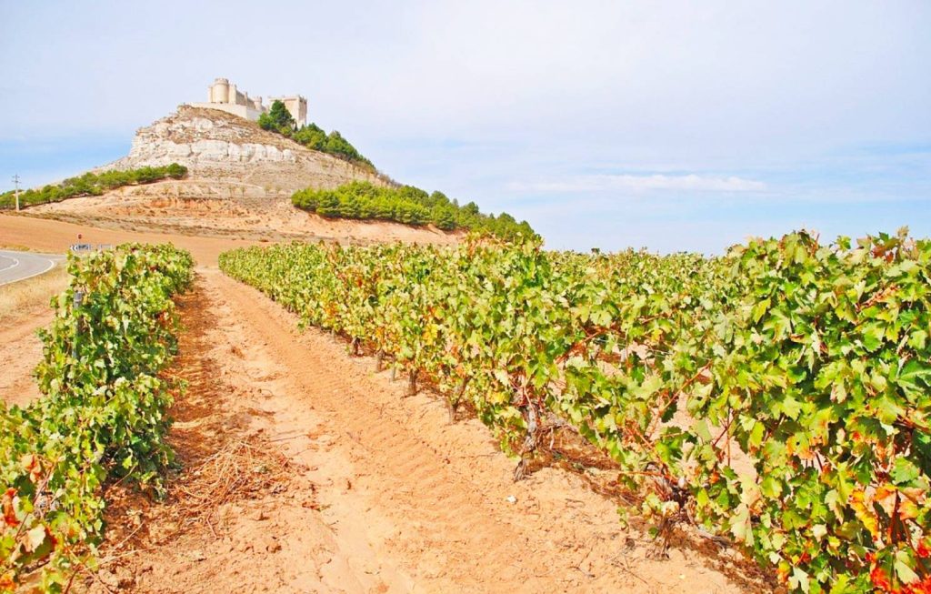 Excursiones desde Peñafiel