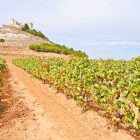 Excursiones desde Peñafiel