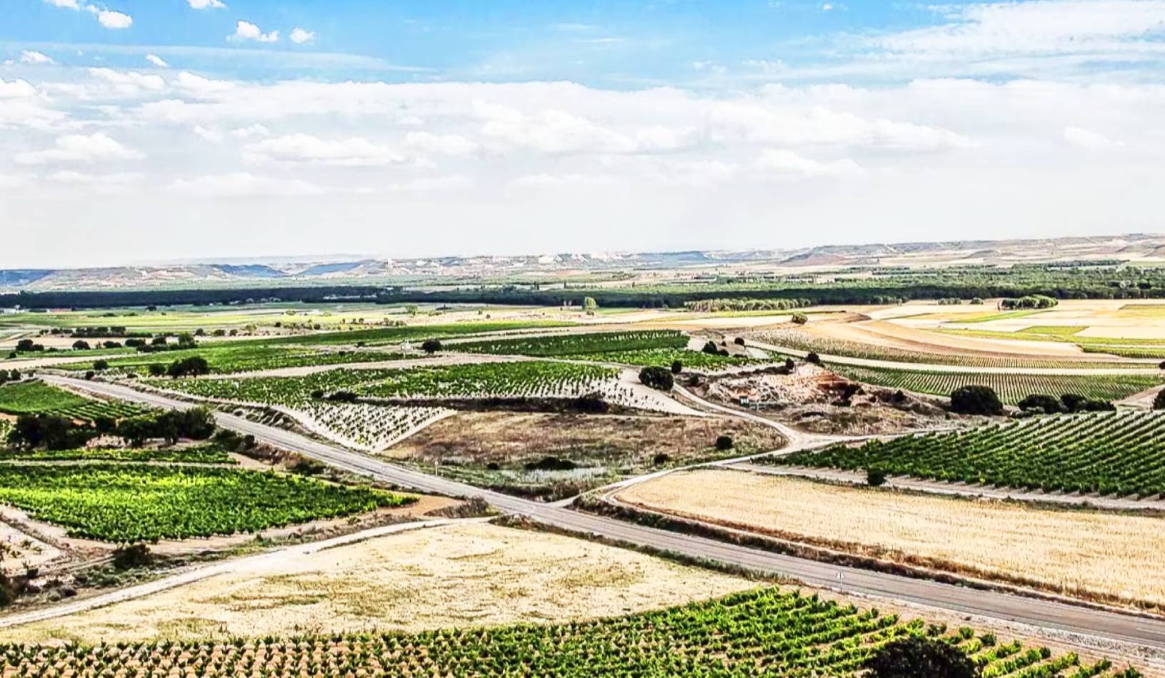 Excursiones desde Pesquera de Duero