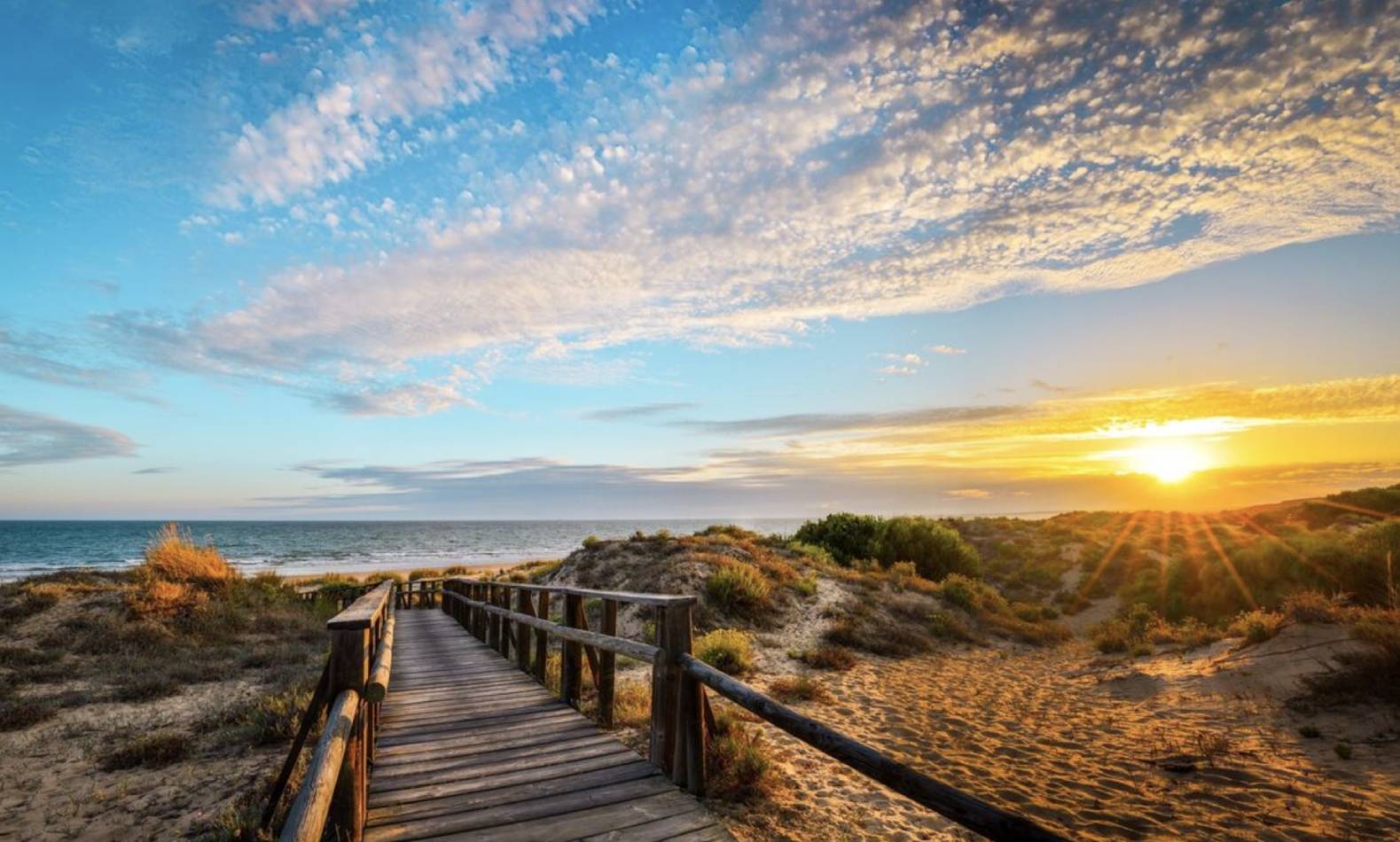 Excursiones desde Punta Umbría