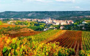 excursiones desde Cenicero