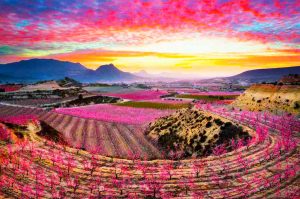 excursiones desde Cieza