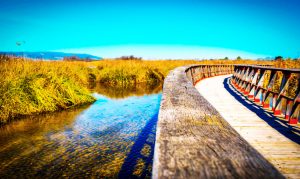 excursiones desde Daimiel