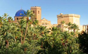 excursiones desde Elche