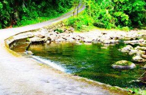 excursiones desde Guápiles