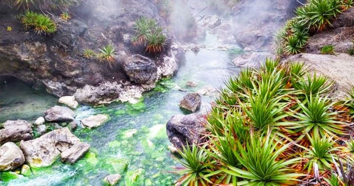 excursiones desde Ibagué