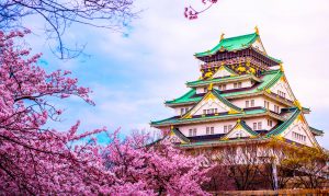 excursiones desde Osaka