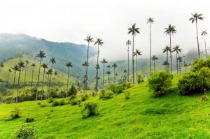 excursiones desde Salento