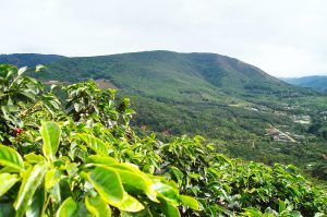 excursiones desde San Marcos de Tarrazú