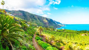 excursiones desde tenerife