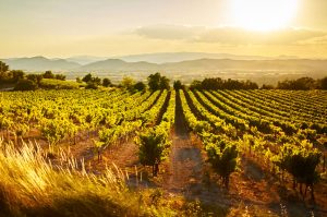 excursiones desde toulouse